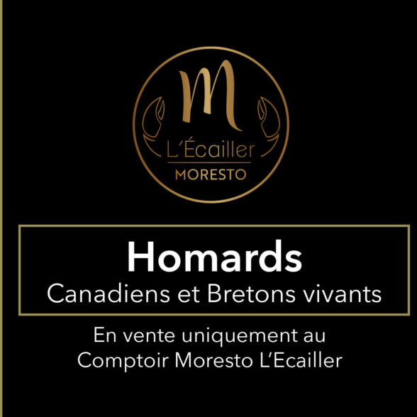 Homards Canadiens et Bretons vivants