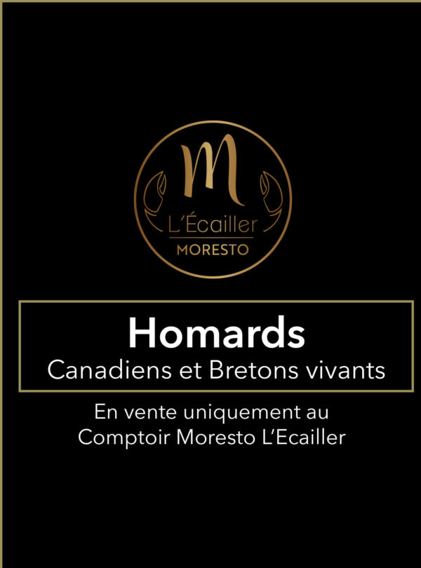 Homards Canadiens et Bretons vivants