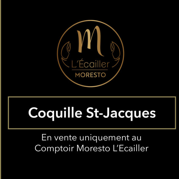 Saint-Jacques dans sa coquille
