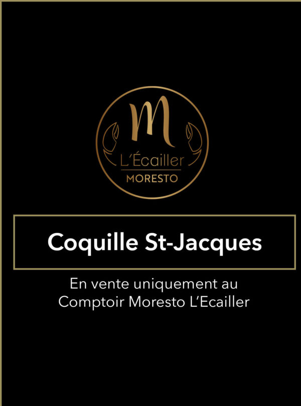 Noix de Saint-Jacques crue