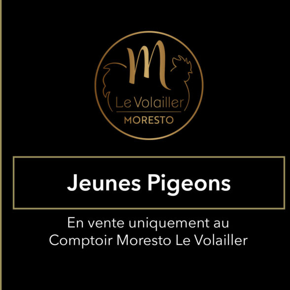 Jeunes Pigeons