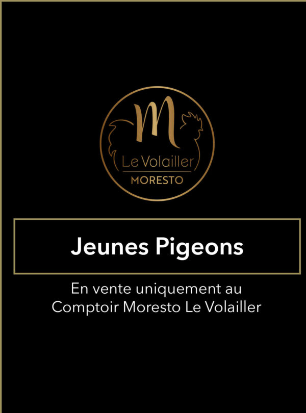 Jeunes Pigeons
