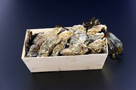 Huitres fermées – Plates Carnac